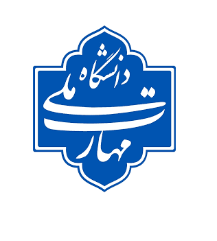 دانشگاه ملی مهارت